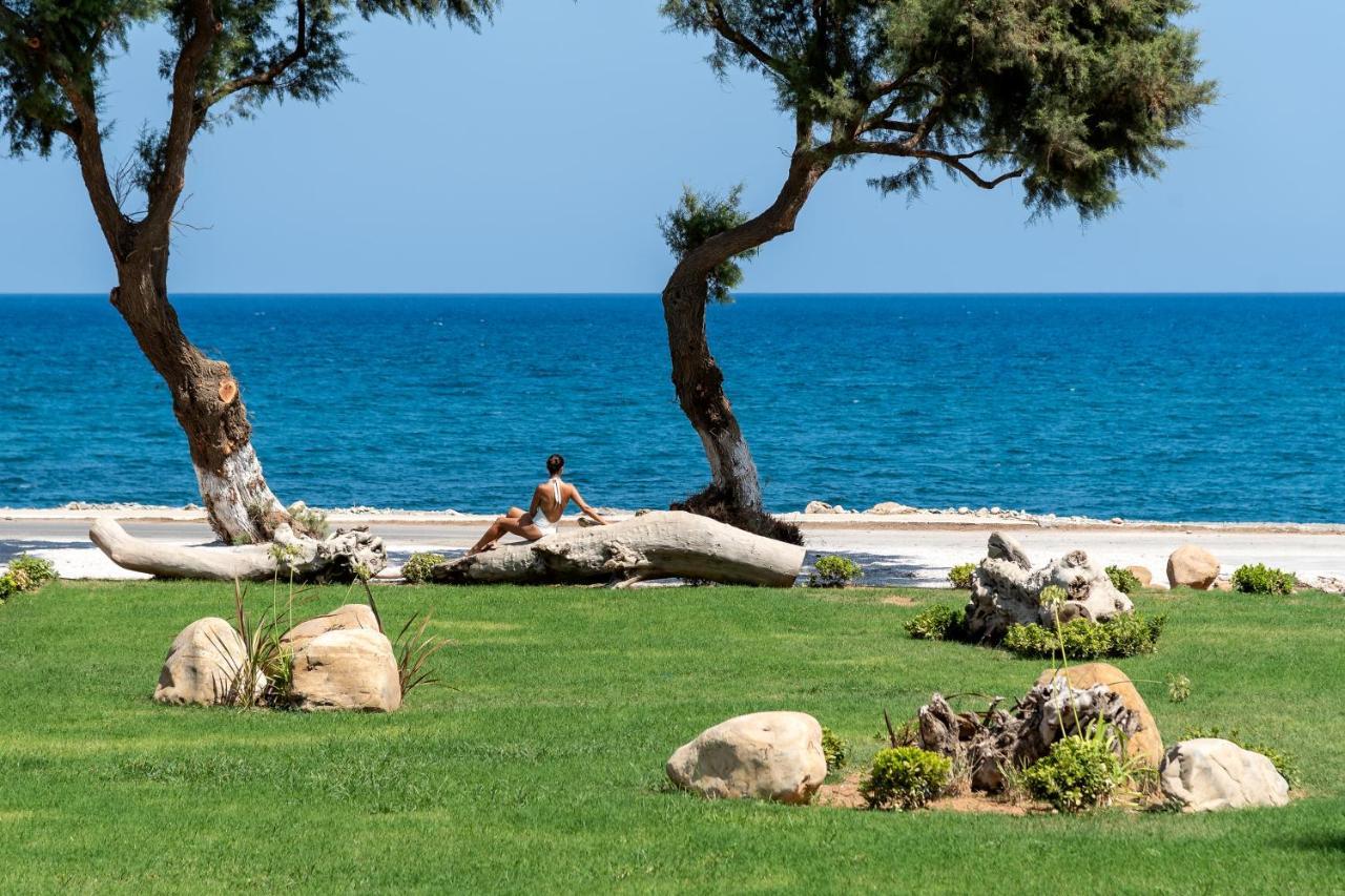 Artemis Seafront Villa, An Evanescence Sea Retreat, By Thinkvilla Tavronitis Exteriör bild